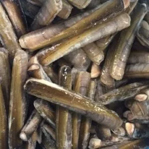 冷冻竹蛏 (Ensis Directus)