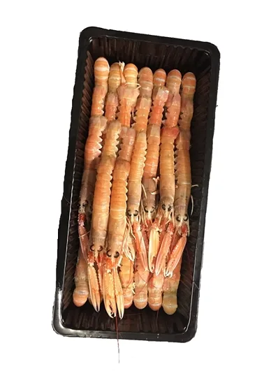 Frozen Langoustine