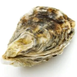 生蚝