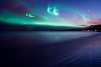 Aurora Seafood